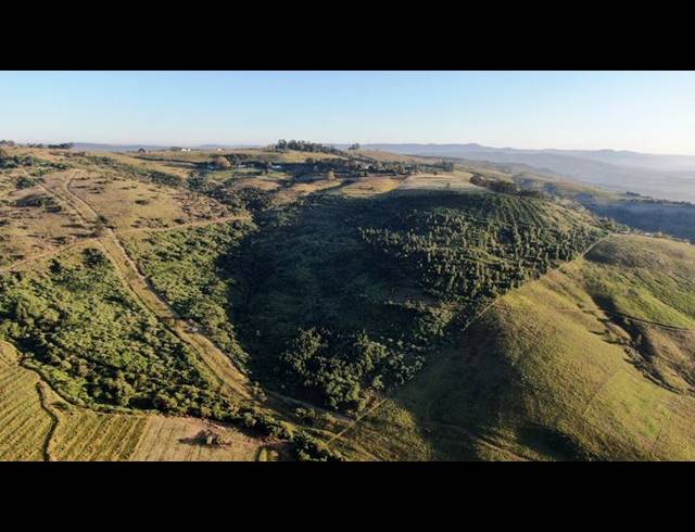 FARM FOR SALE IN MOUNT VERDE